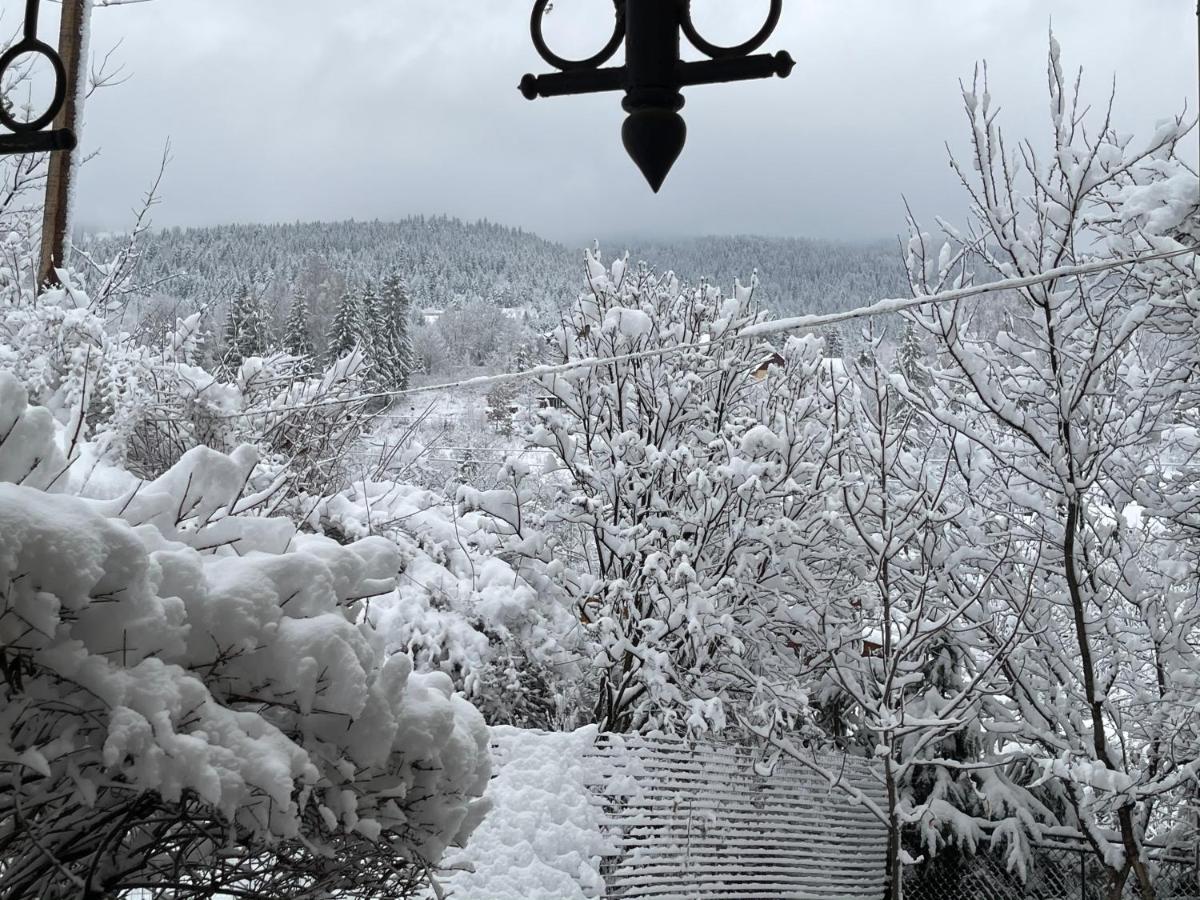 Zabava Lägenhet Jaremtje Exteriör bild