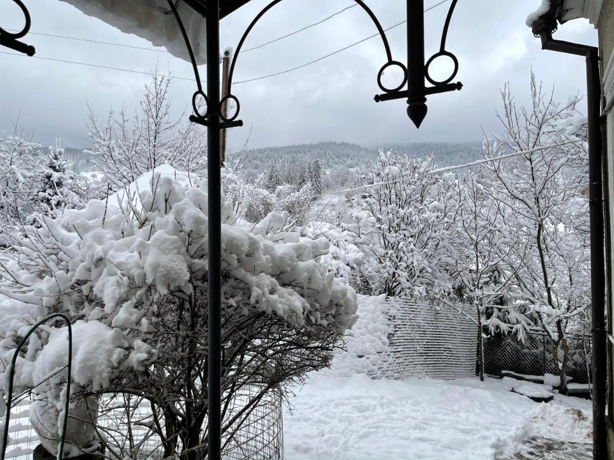 Zabava Lägenhet Jaremtje Exteriör bild