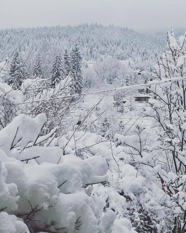 Zabava Lägenhet Jaremtje Exteriör bild