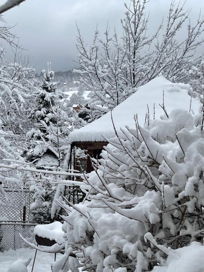 Zabava Lägenhet Jaremtje Exteriör bild